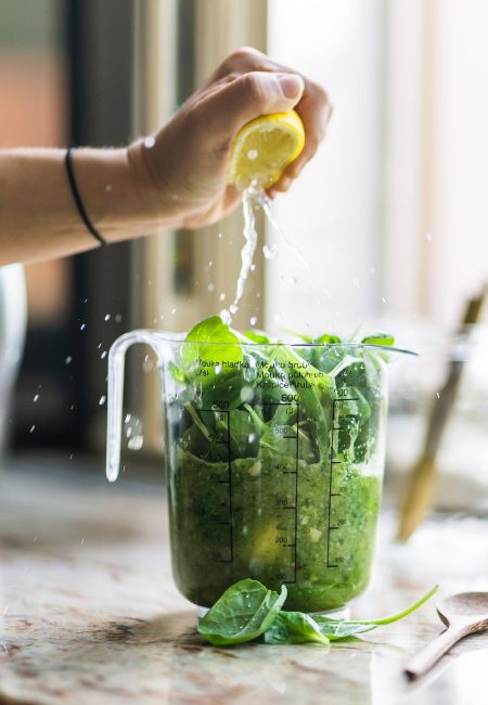 Nutritionist Program Vegetarian